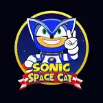 Sonic Space Cat