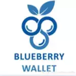 BlueBerryWallet