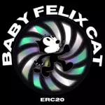 BABY_FELIX_CAT