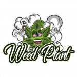 Weed Plant