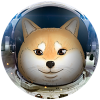 Space Doge Coin