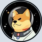 Satellite Doge-1 Mission