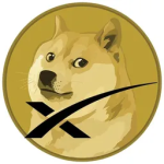space X Doge-1