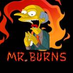 Mr.Burnsmoon