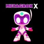MetaGrokX