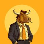Mr.Bullrun