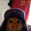 COMMUNIST CAT PARTY
