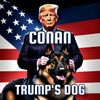 Trump's DogCOCAN_Trumps Dog.