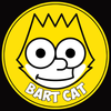Bart Sympson Cat 